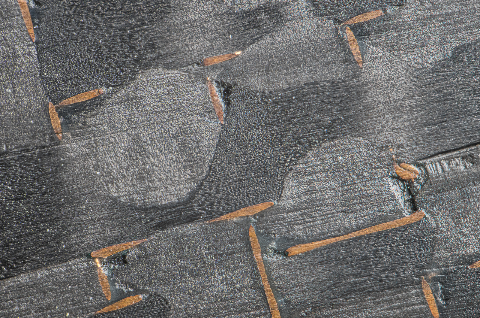 2021-05-30 15-33-32 (C,Smoothing4).jpg