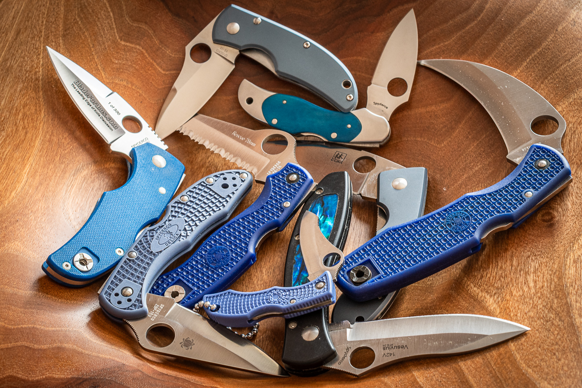 2025-03-20_blaue Spydies_0001.jpg