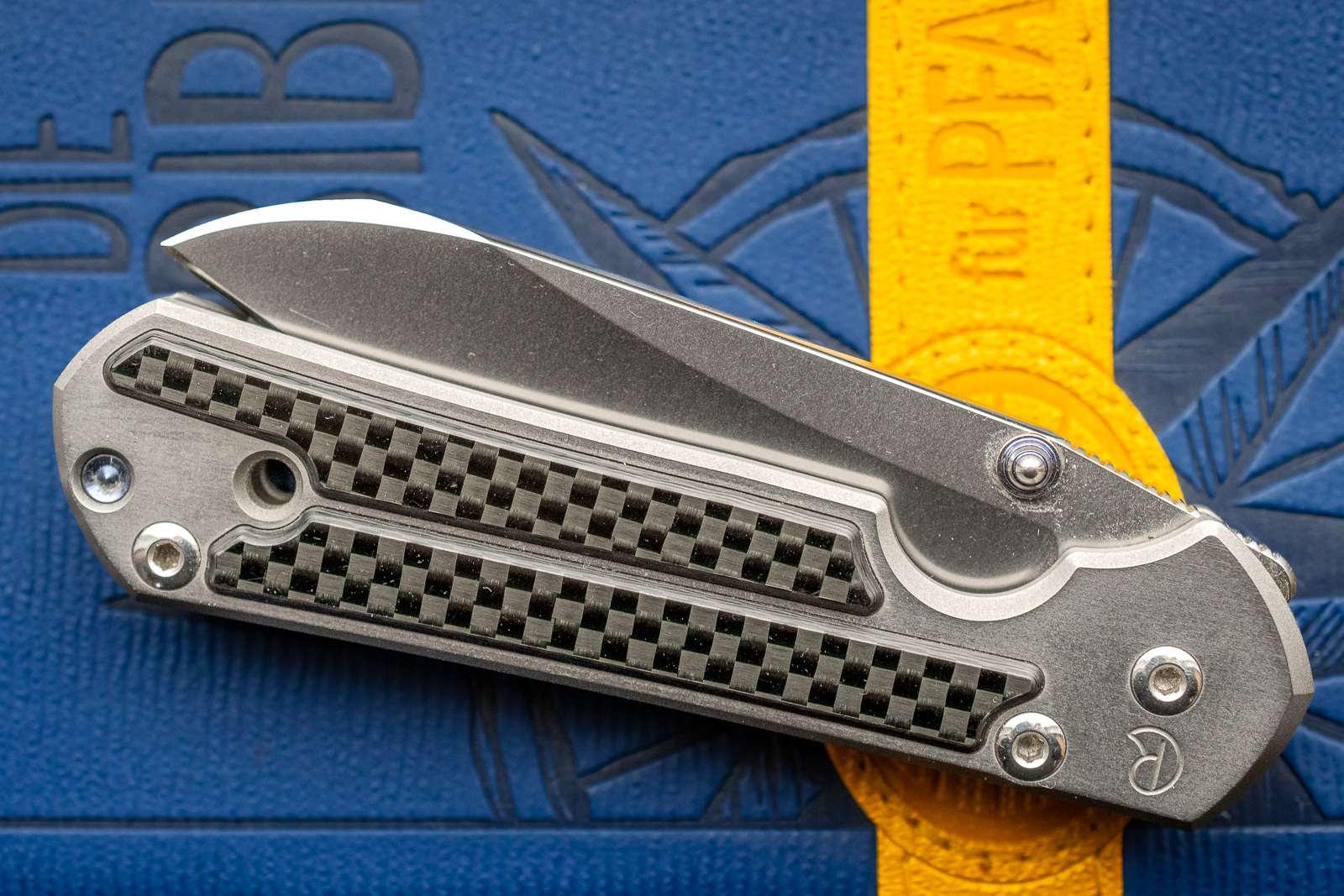 2026-01-22_Chris Reeve_Small Insingo_0001.jpg