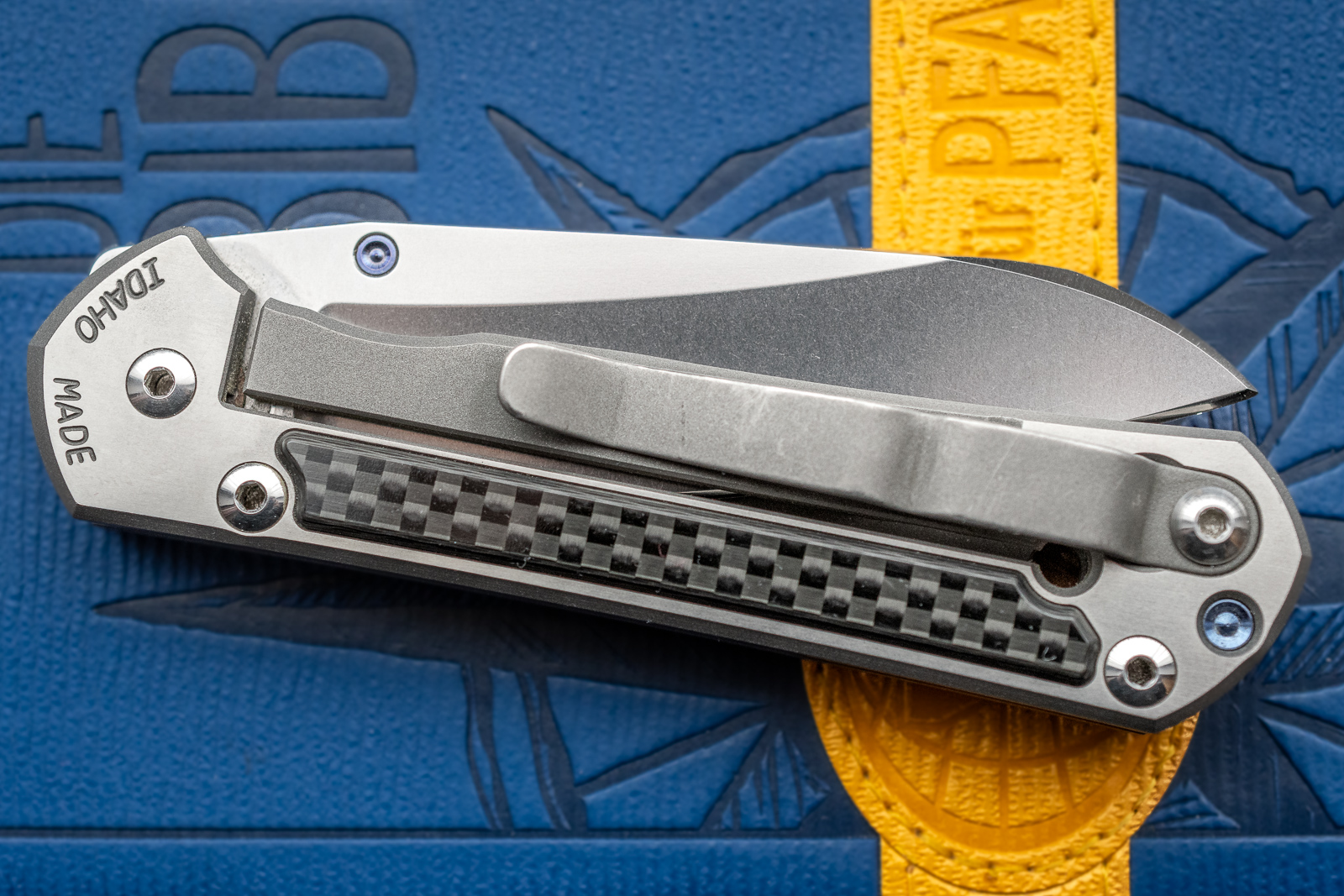 2026-01-22_Chris Reeve_Small Insingo_0002.jpg