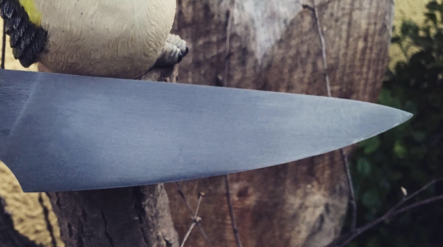 9D55AF49 A14C 4FDE 9644 599EDBA6DBC2