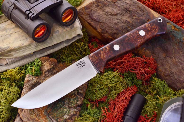 bravo 1 2 3v rosewood burl rampless full height grind jenni 379 95