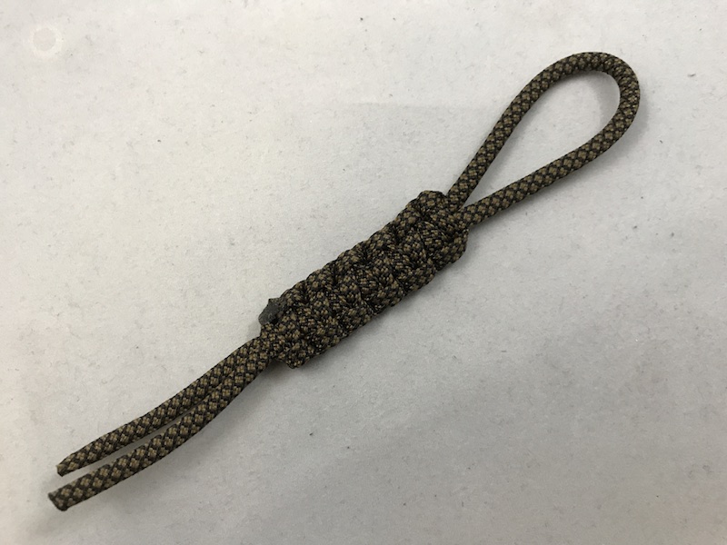 coyote brown snake