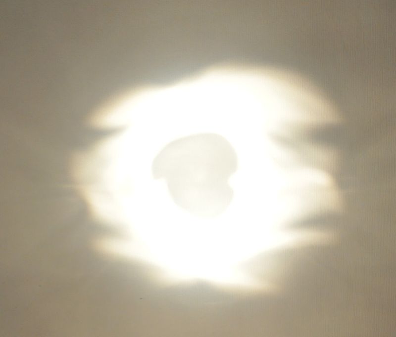 DSC 0218