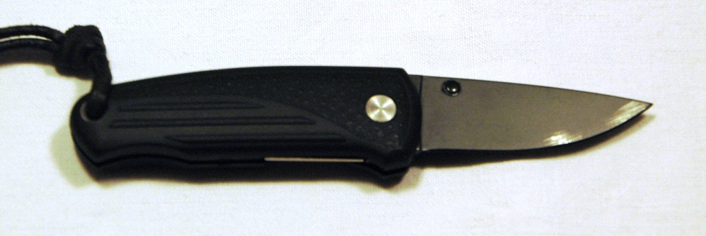 DSC 8004