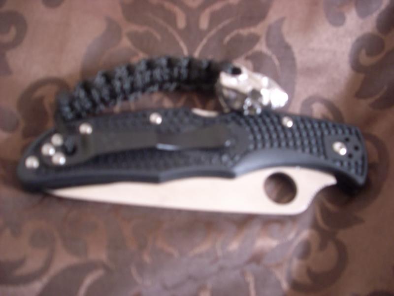 DSCI0537