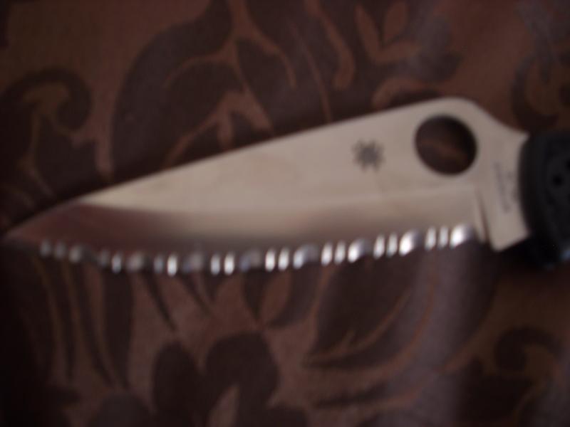 DSCI0543