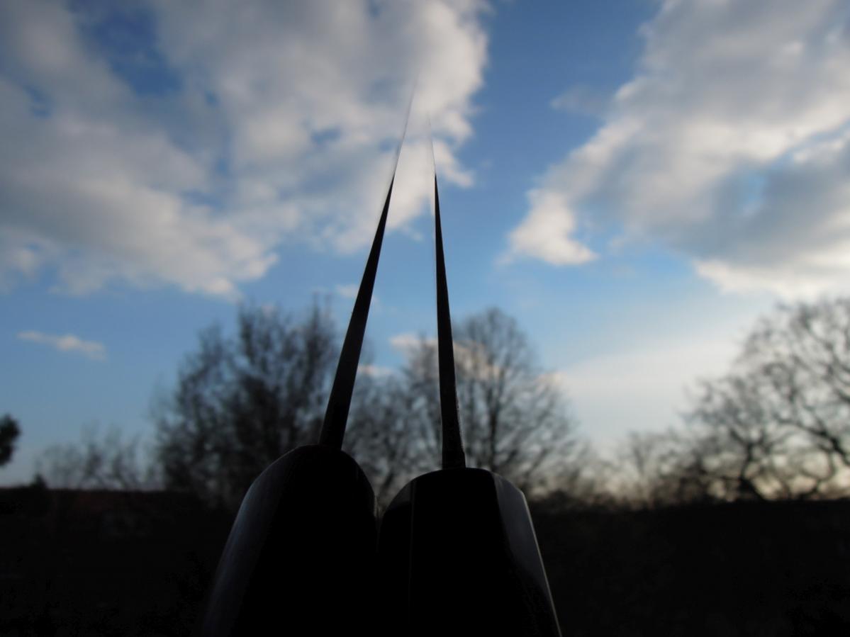 DSCN0202