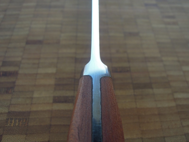 DSCN4422