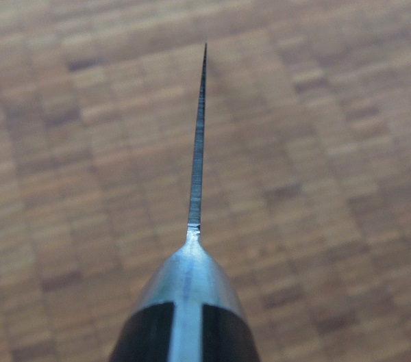 DSCN4489