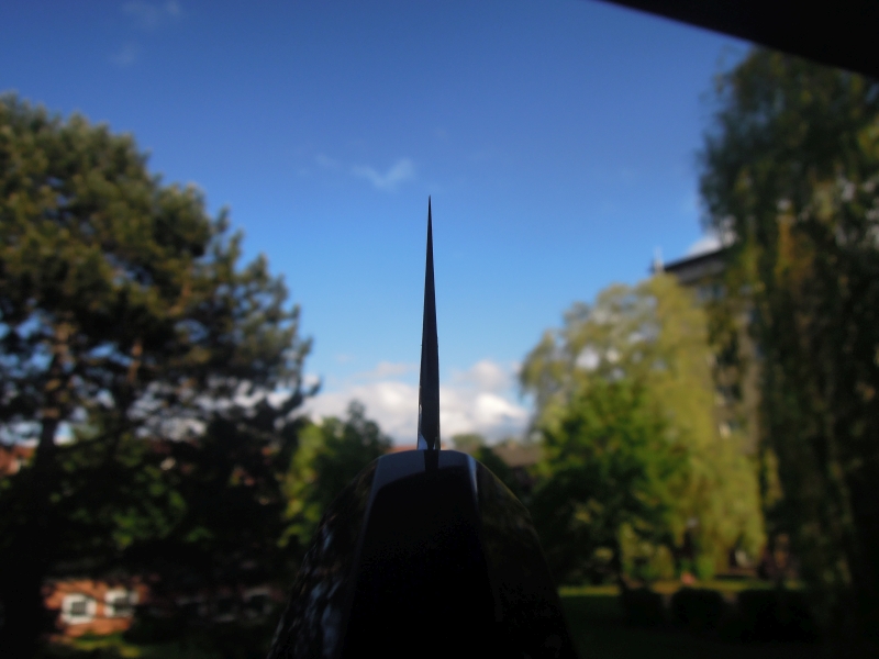 DSCN6367