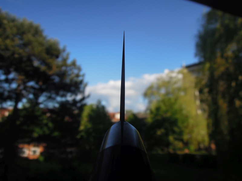 DSCN6409