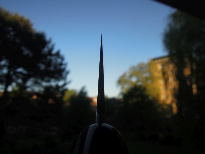 DSCN6651