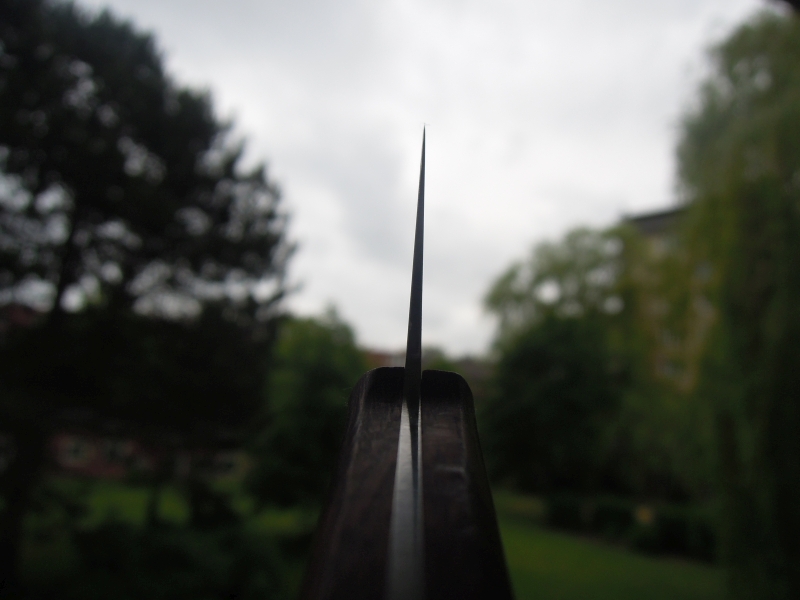 DSCN6768