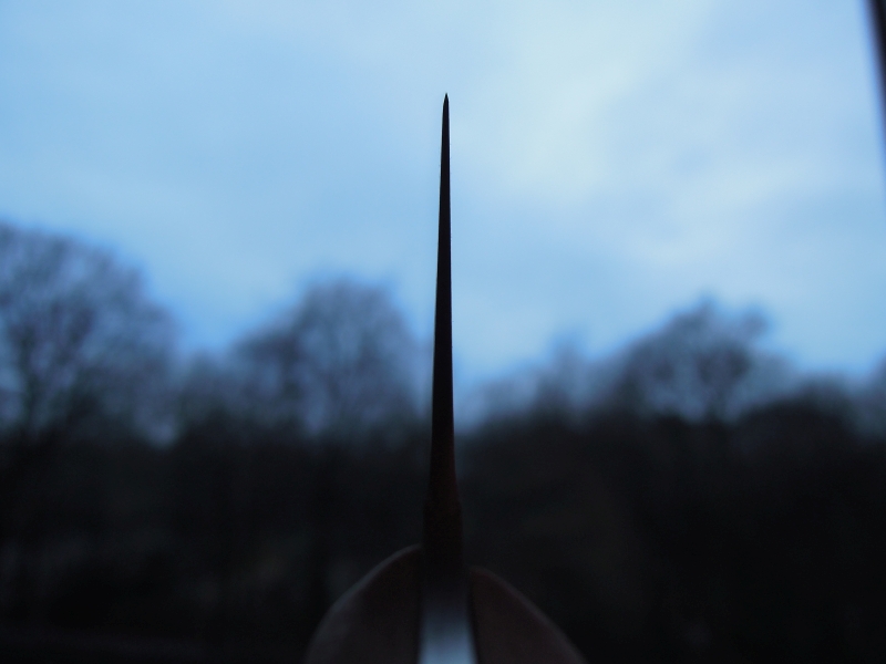 DSCN9764
