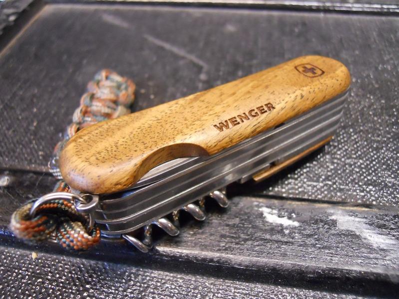 EvoWoods557