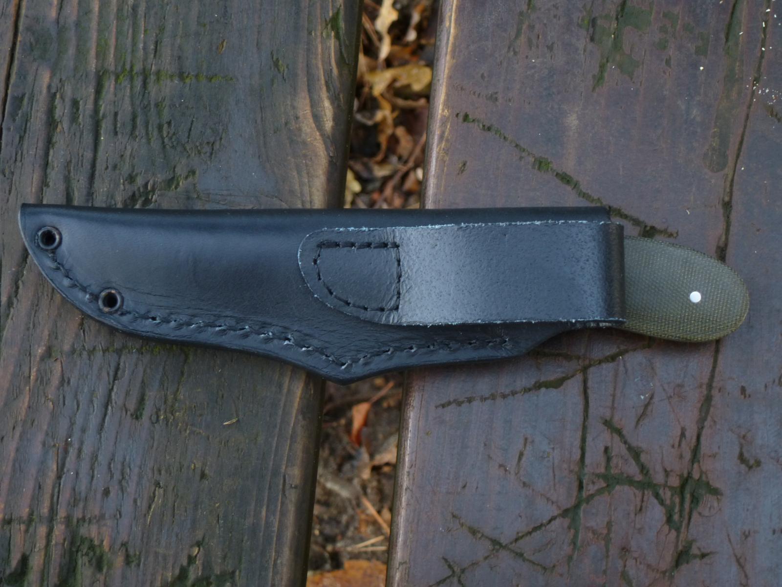 Holster (1)