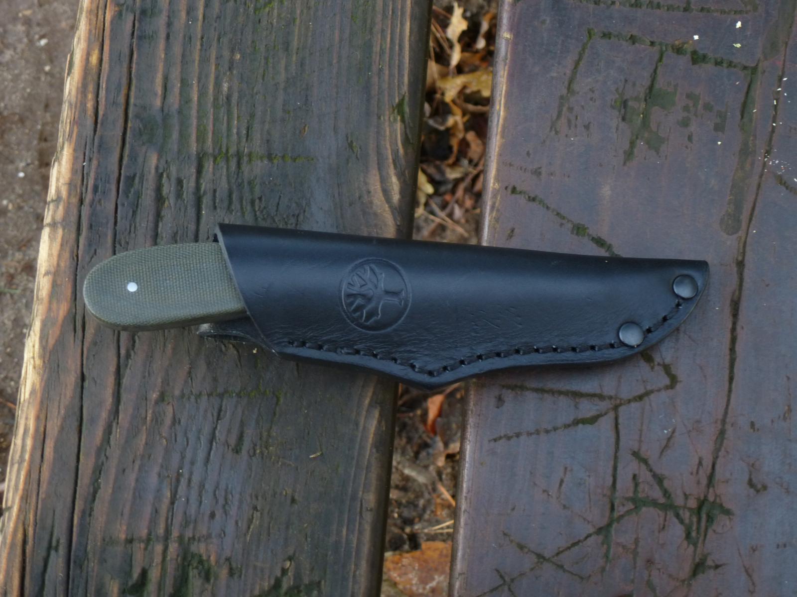 Holster (2)