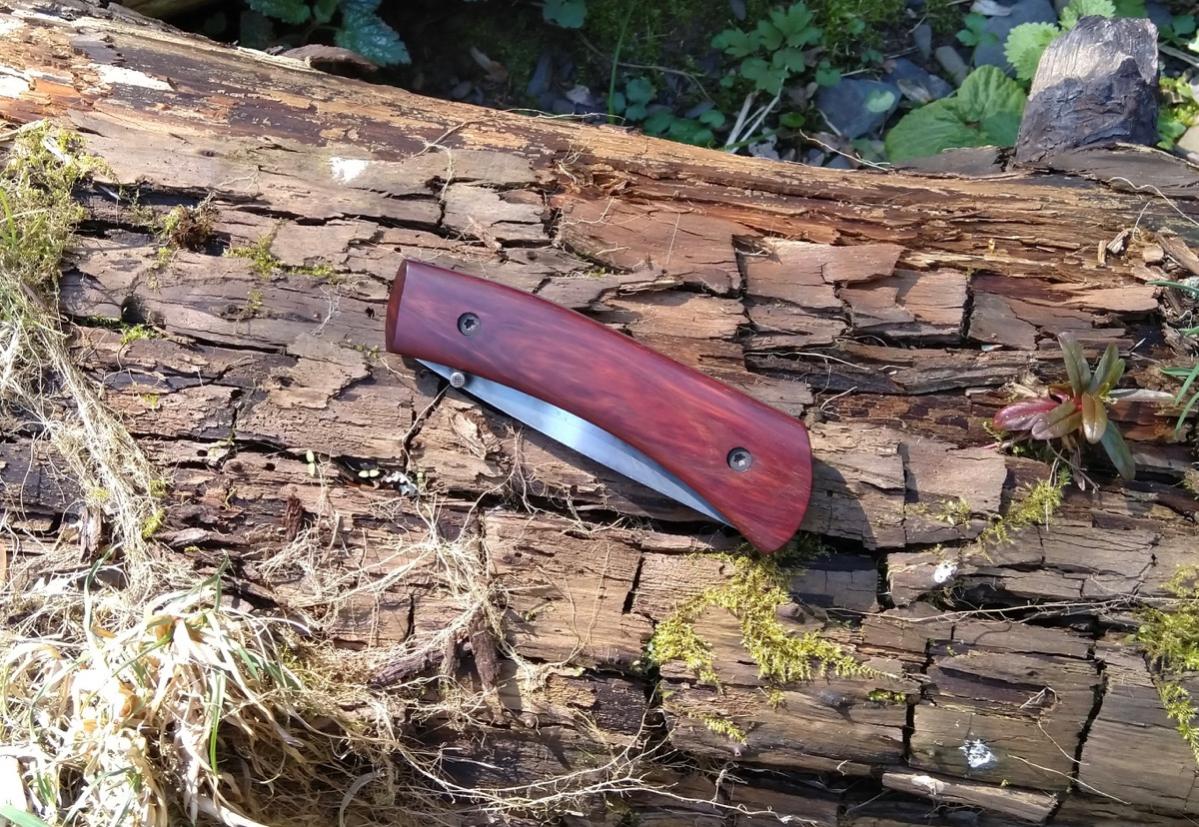 IMG 20190419 125247 (1)