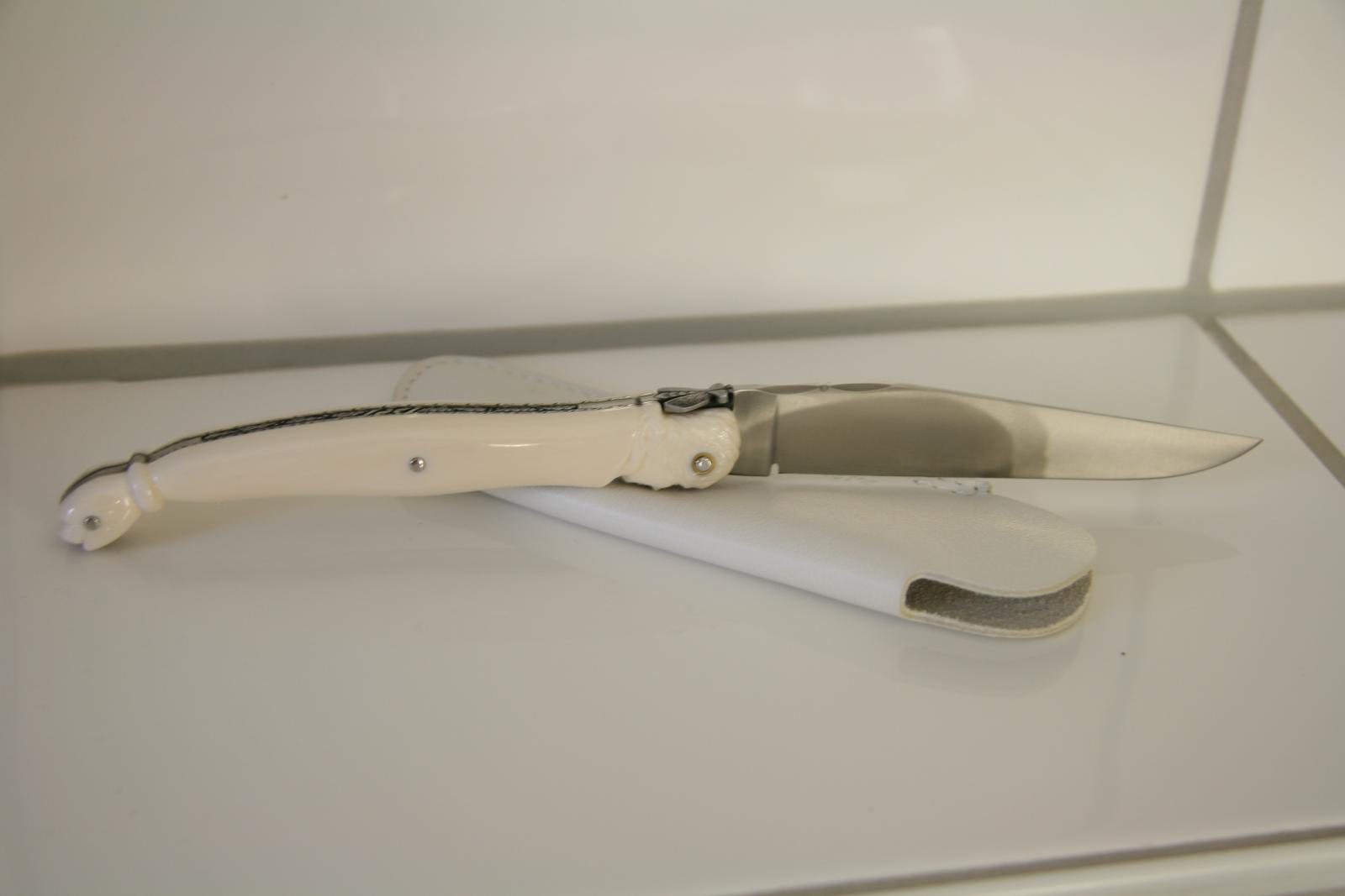 IMG 7679