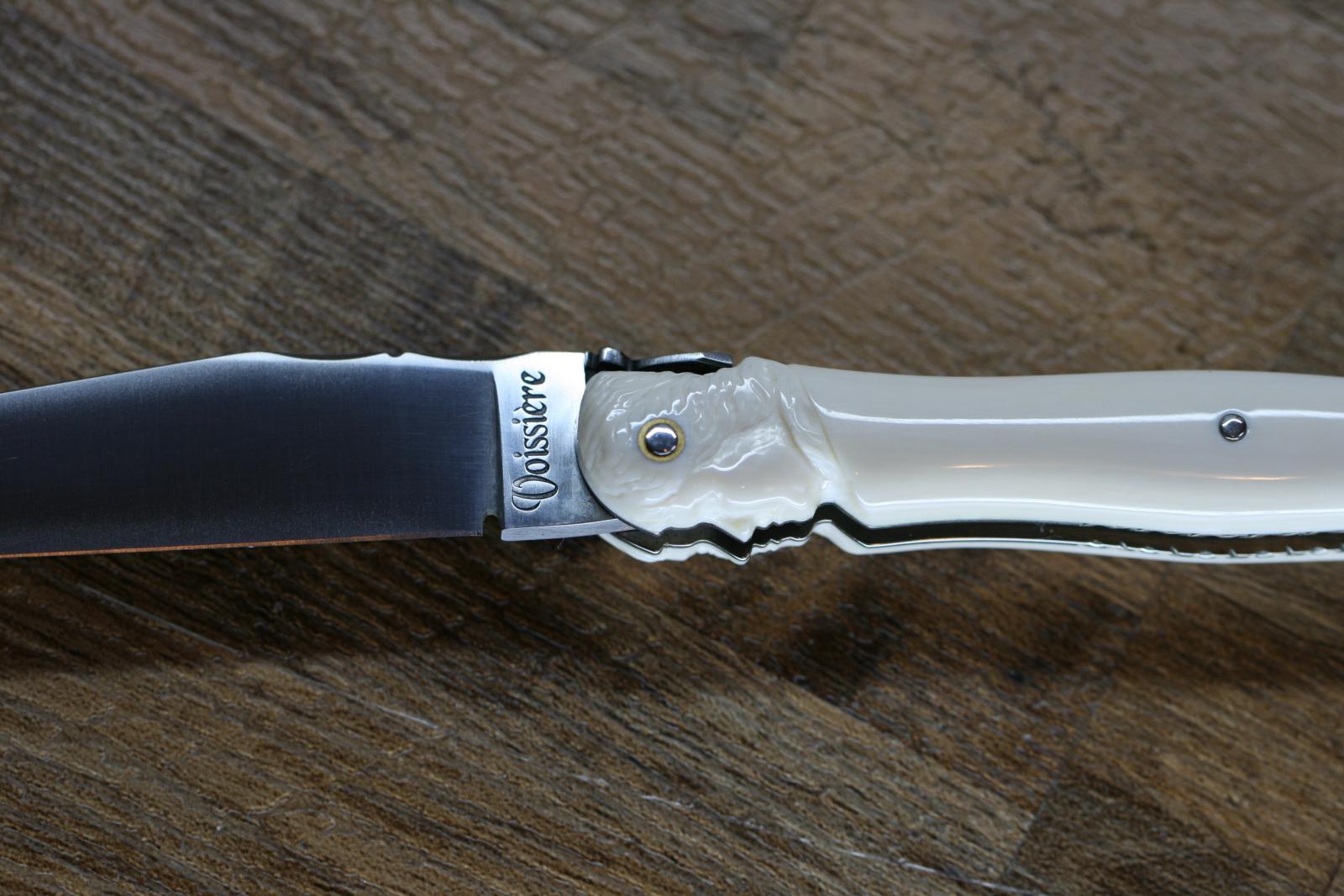 IMG 7783