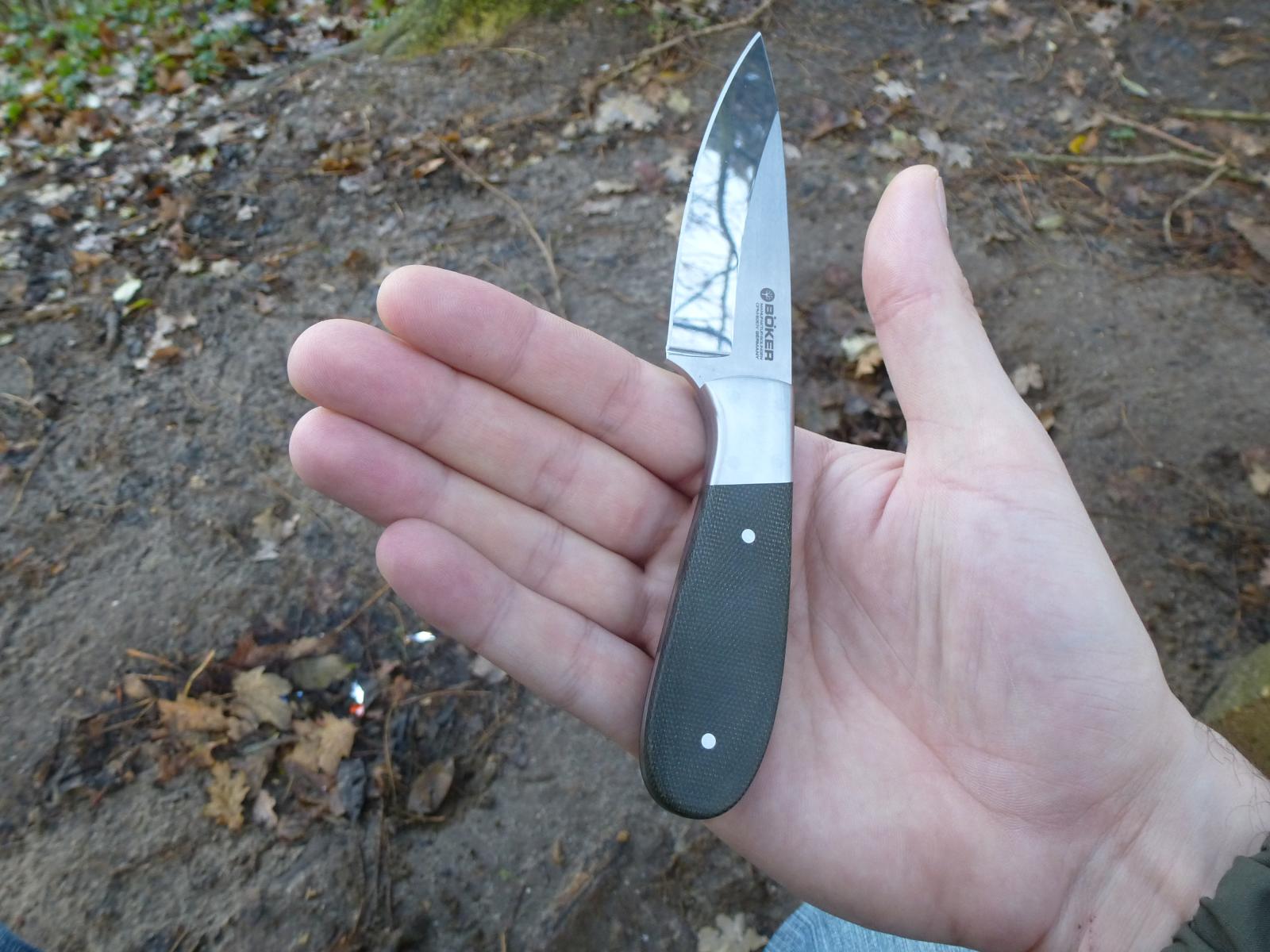 in Hand (1)