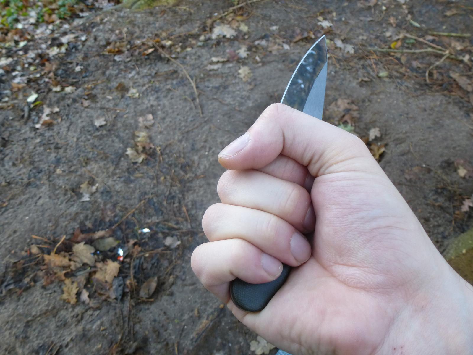 in Hand (2)