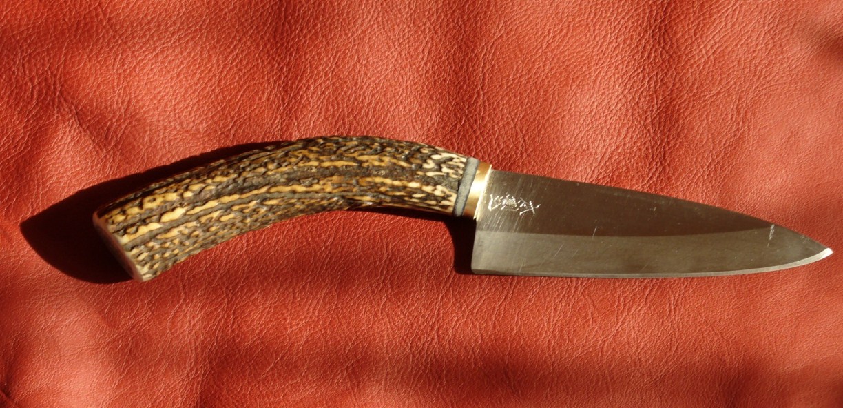 japanischer Küchenhirsch.jpg