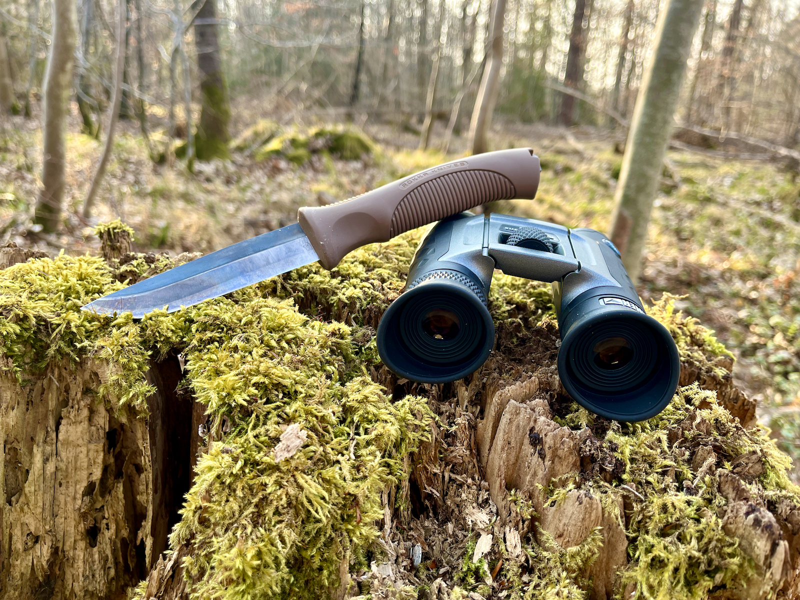 Kleiner (Ab)Stecher in den Wald