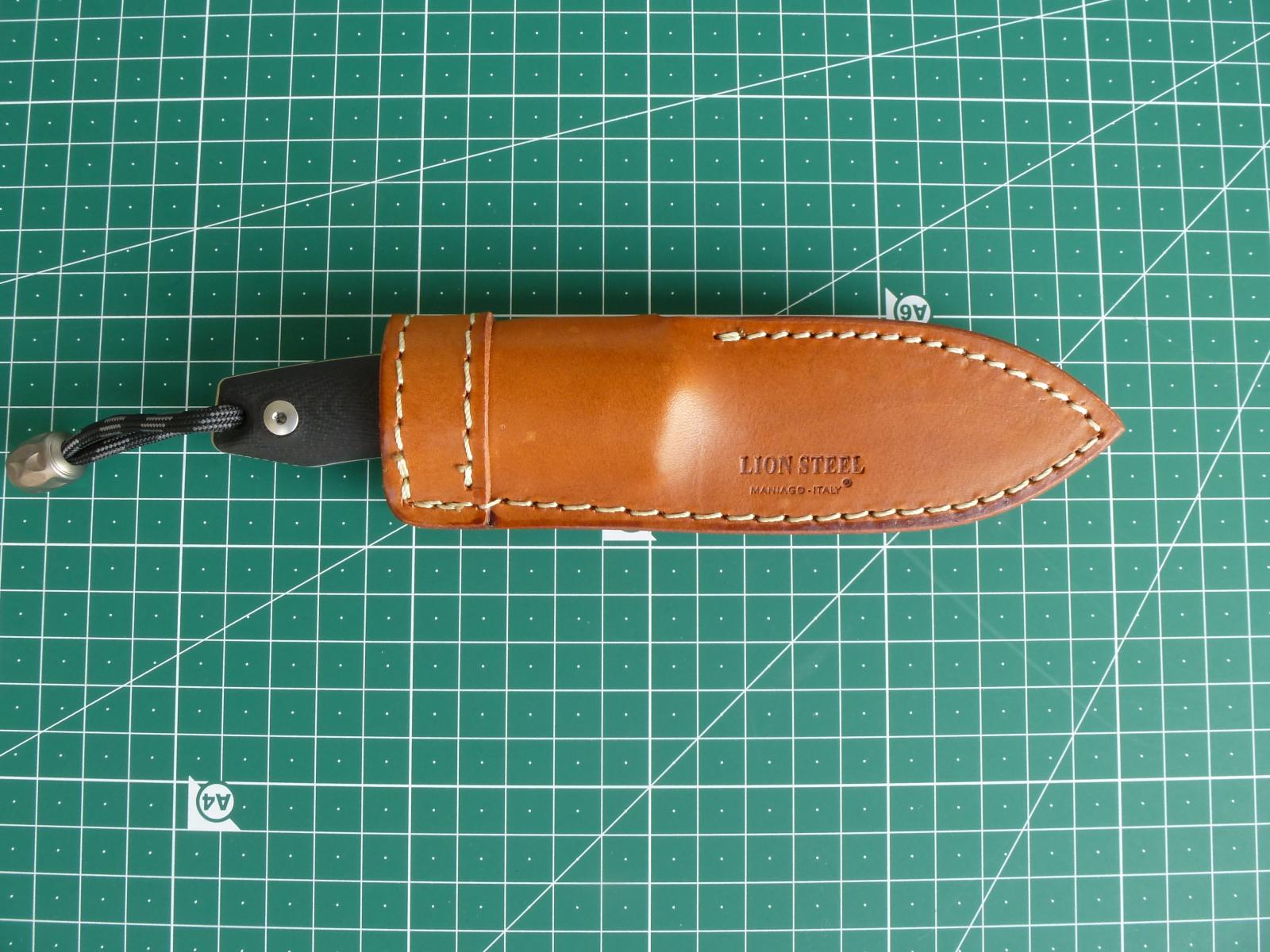 M1 Lederscheide (2)