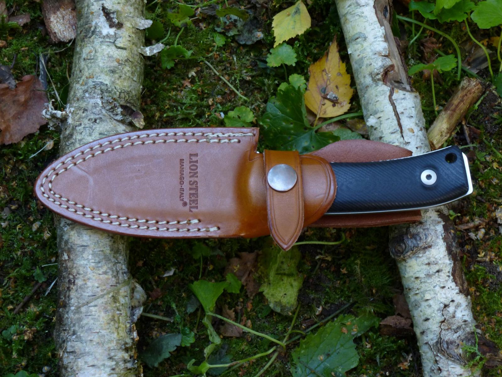 M4 Holster (1)