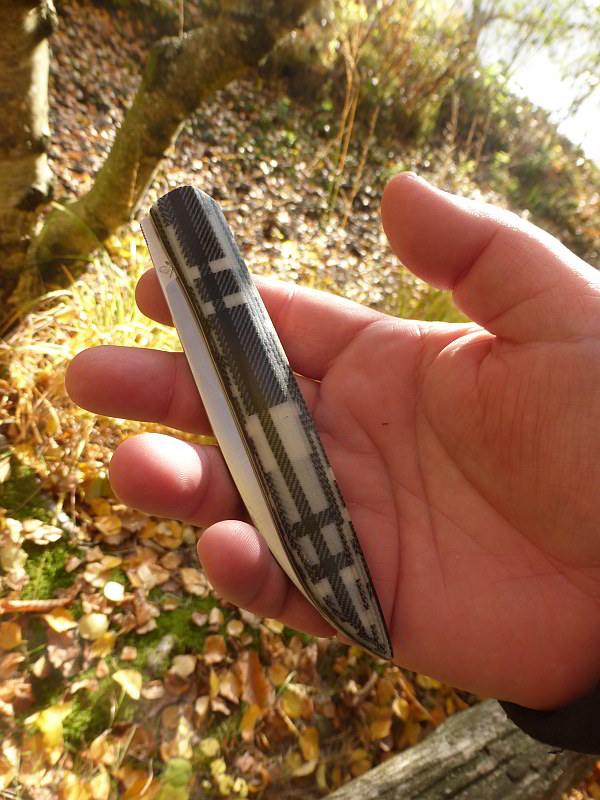 mf lannier05