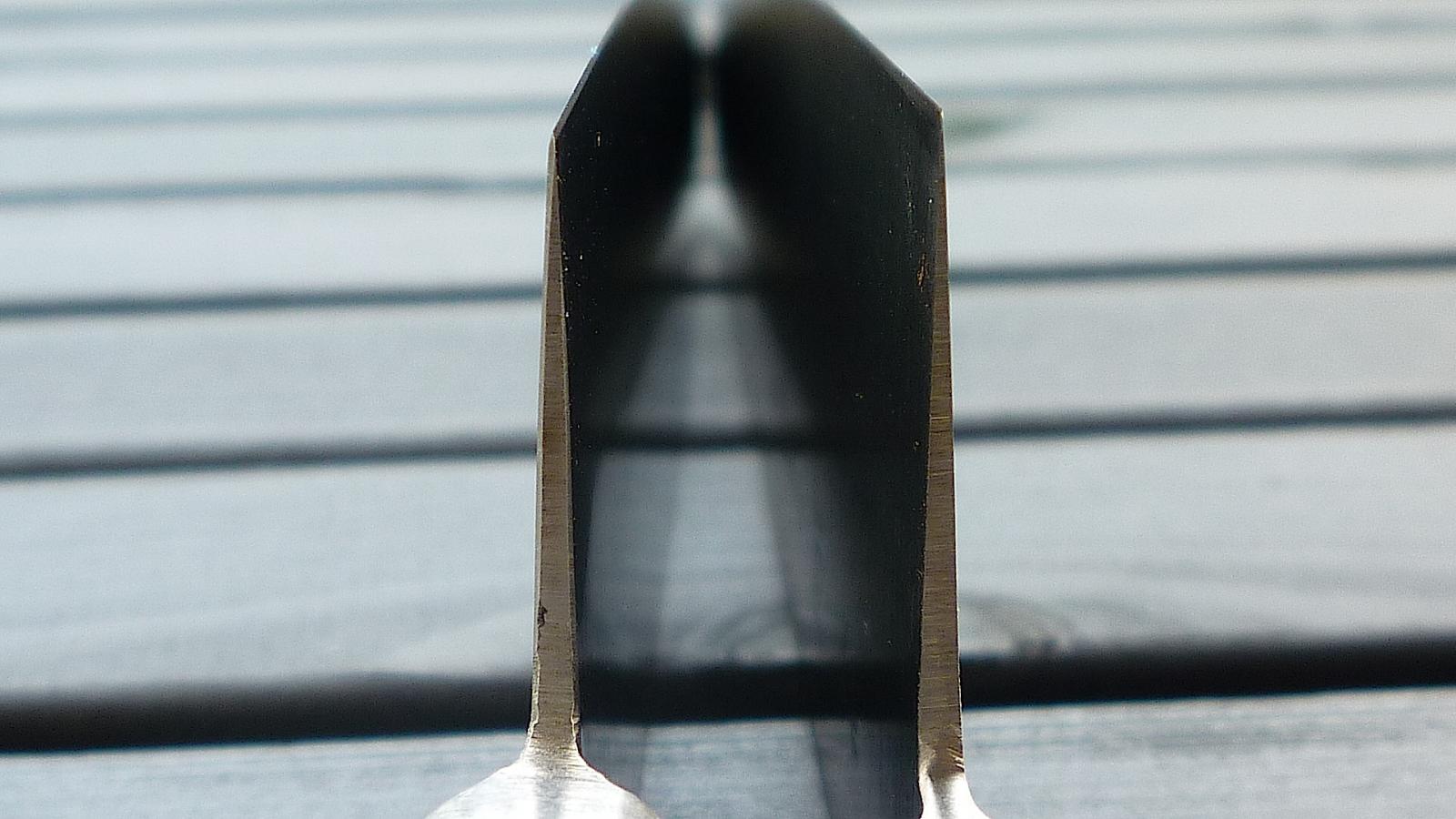 P1060629