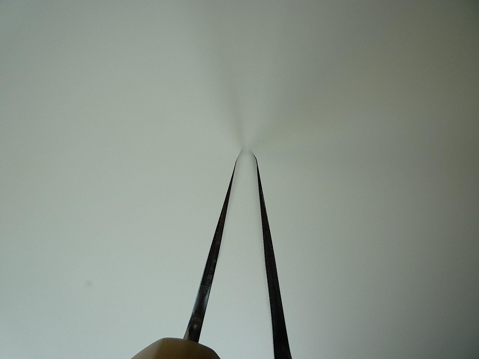 P1070259