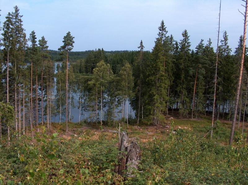 Platz für Outdoorkurse