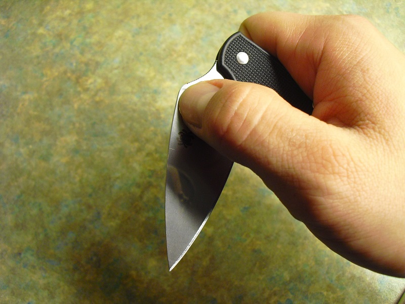 Spyderco C94PBK 2013 013