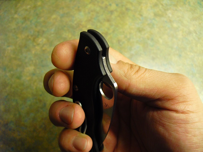 Spyderco C94PBK 2013 014