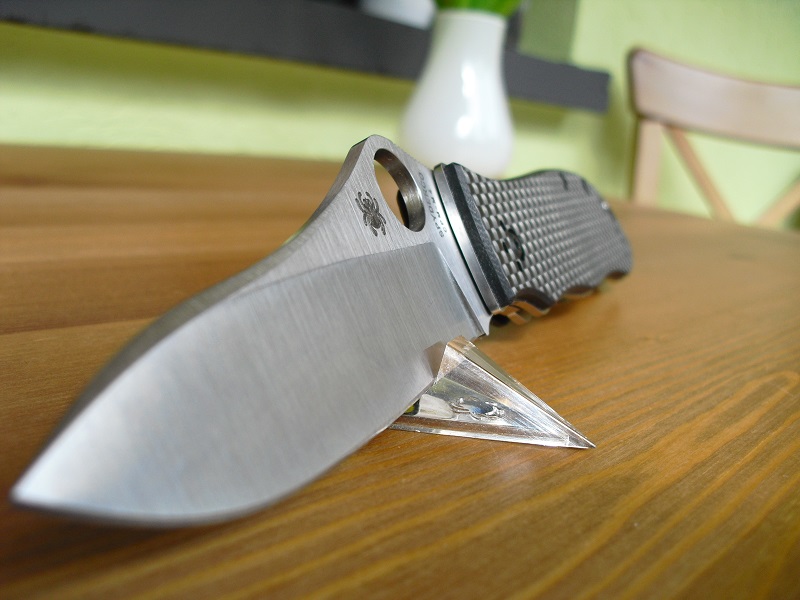 Spyderco Gayle Bradley 009