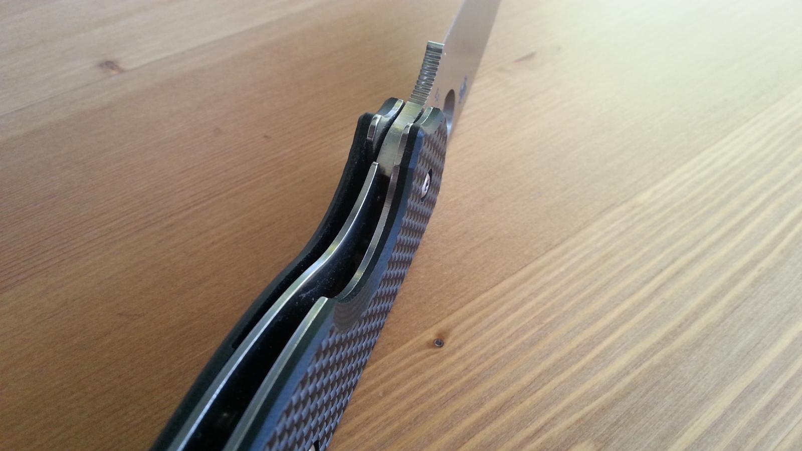 Spyderco Sage1&2 009