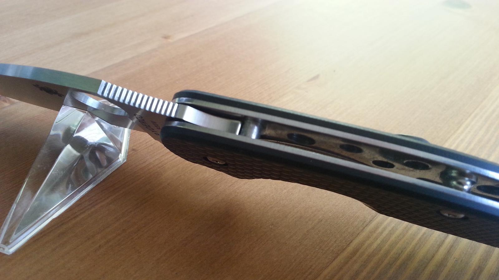 Spyderco Sage1&2 011