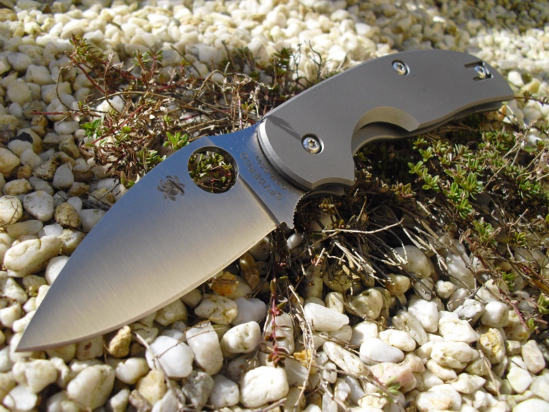 Spyderco Sage1&2 016