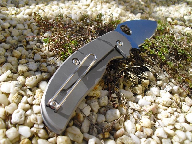 Spyderco Sage1&2 017