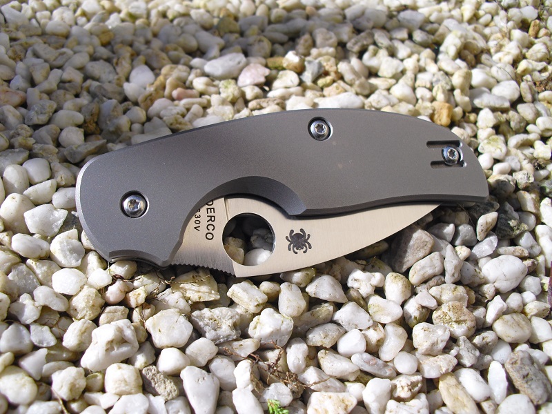 Spyderco Sage1&2 018