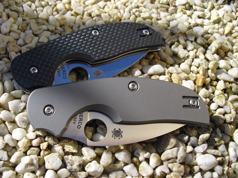 Spyderco Sage1&2 019