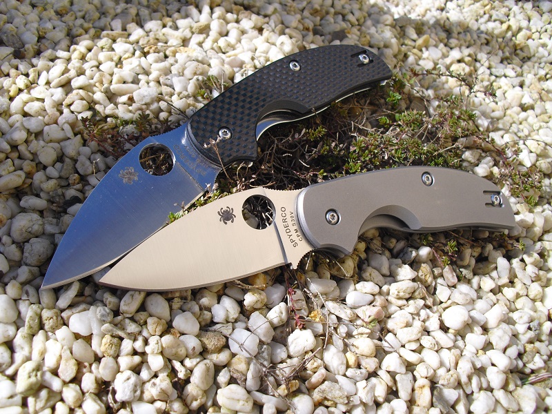 Spyderco Sage1&2 020