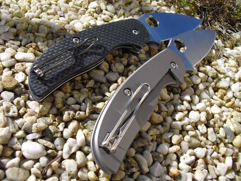Spyderco Sage1&2 022
