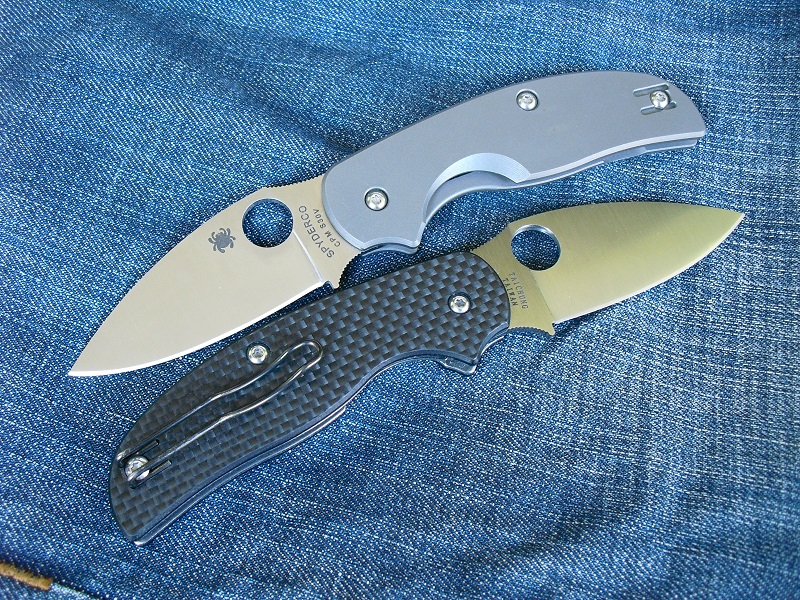 Spyderco Sage1&2 031