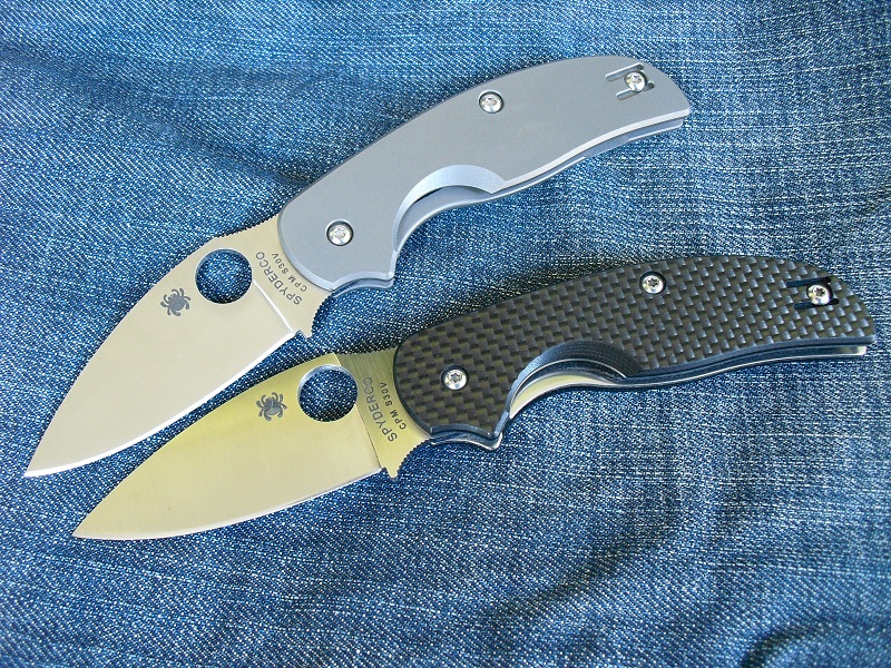Spyderco Sage1&2 032