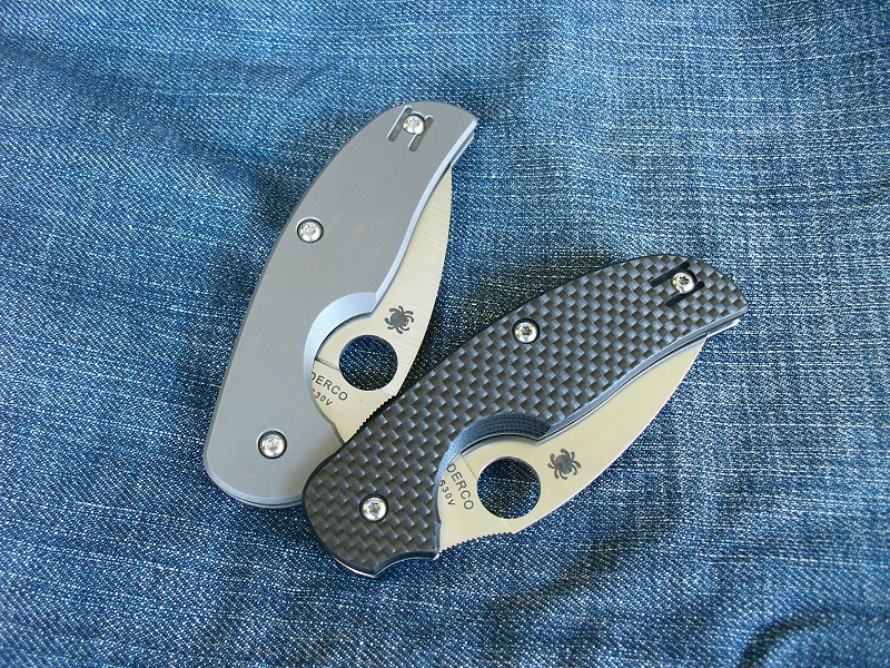 Spyderco Sage1&2 033