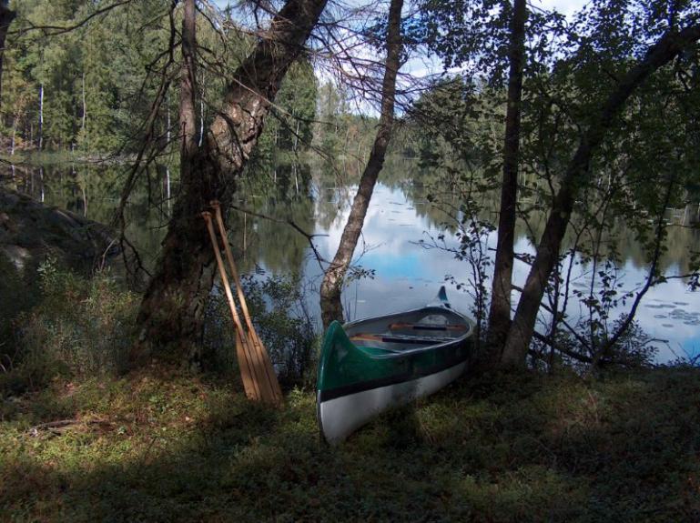 Svinasjön , 300m neben meiner Werkstatt